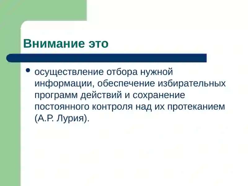 Внимание 3