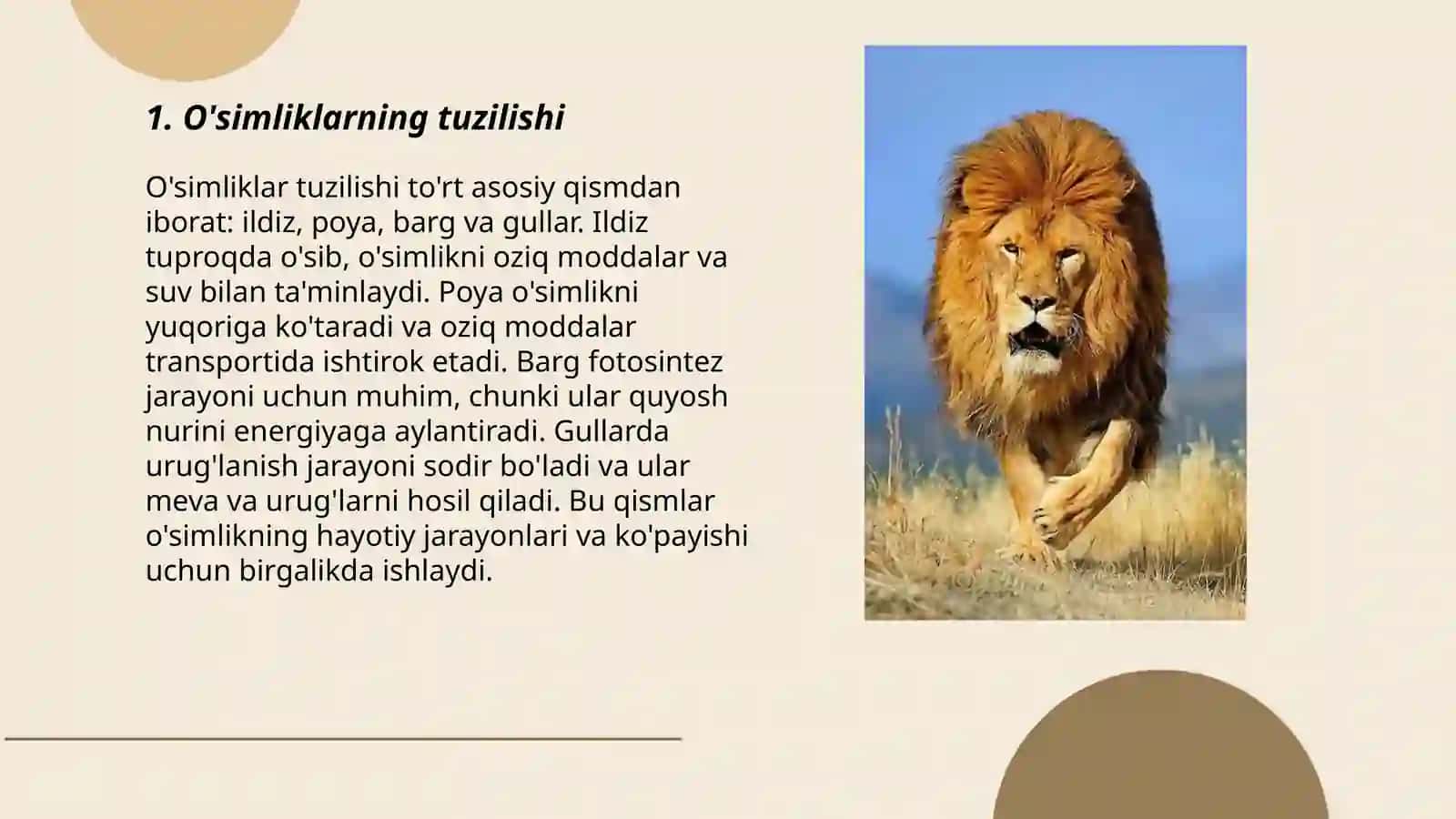 O'simliklar dunyosi 3