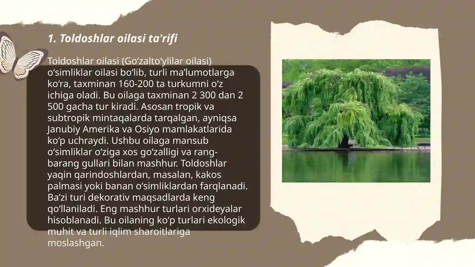 Toldoshlar oilasi ta'rifi 3