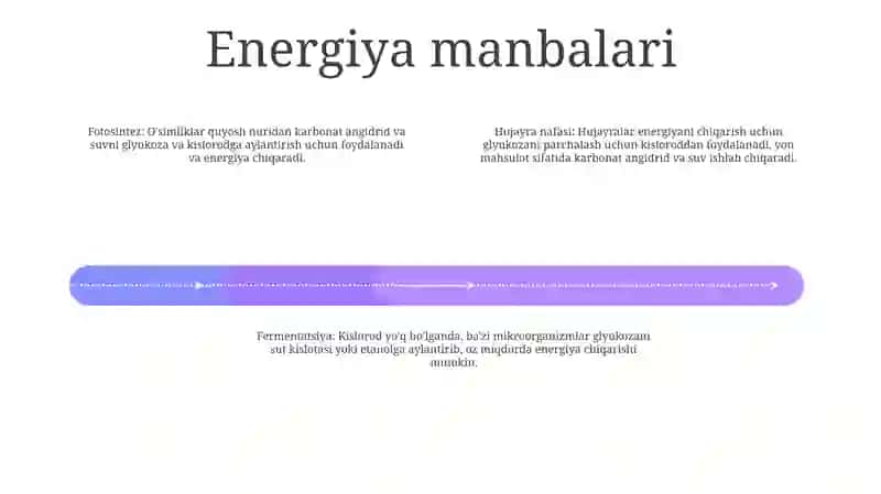 Organizmning Energiya Bilan TaʼMinlanishi 3