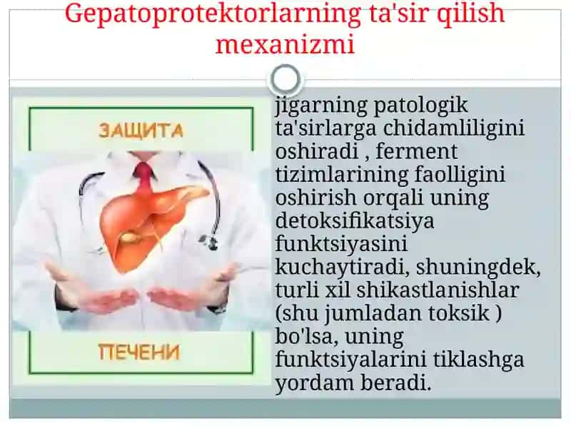 Gepatoprotektorlar 3