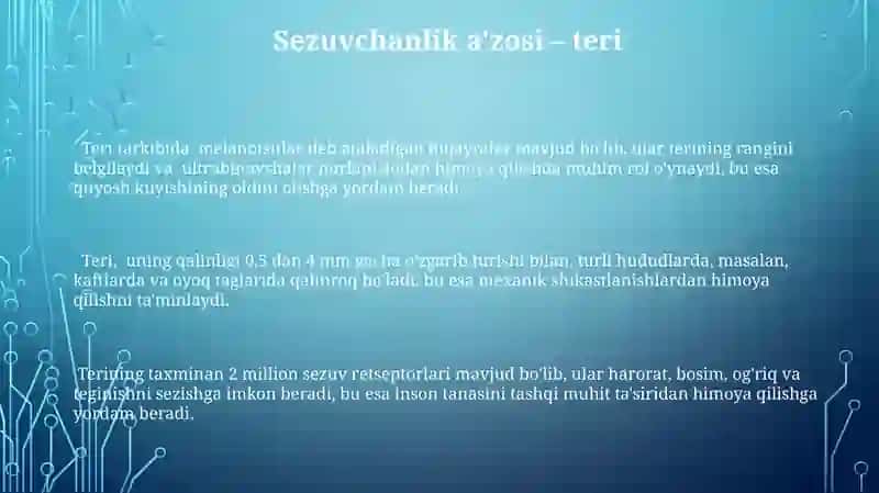 Ta‘m bilshish a‘zosi 3