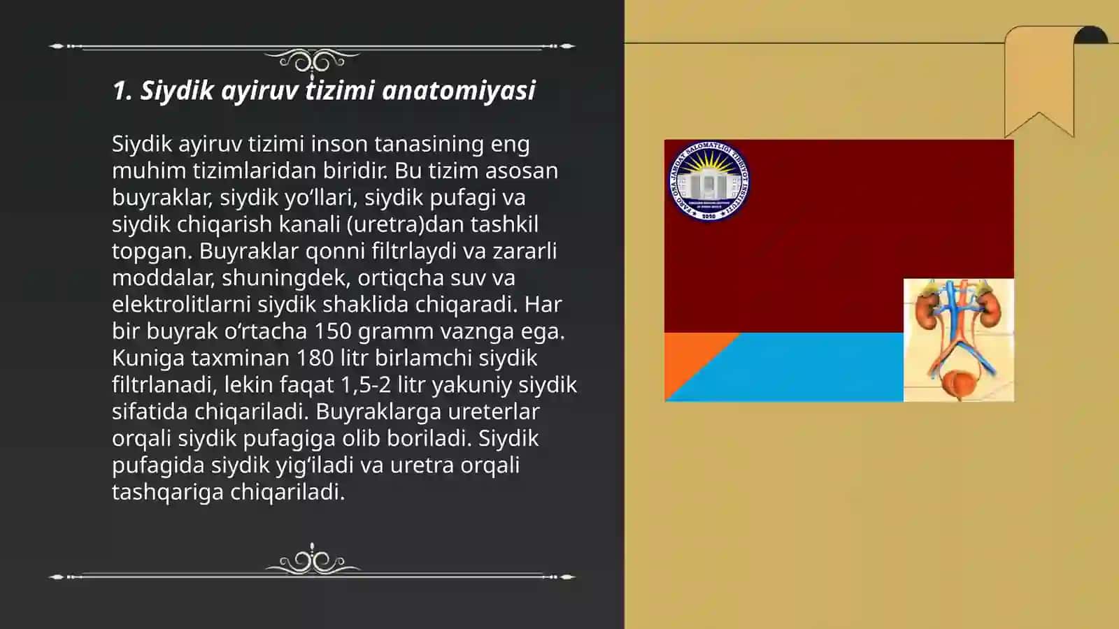 Siydik ayiruv kasalliklari 3