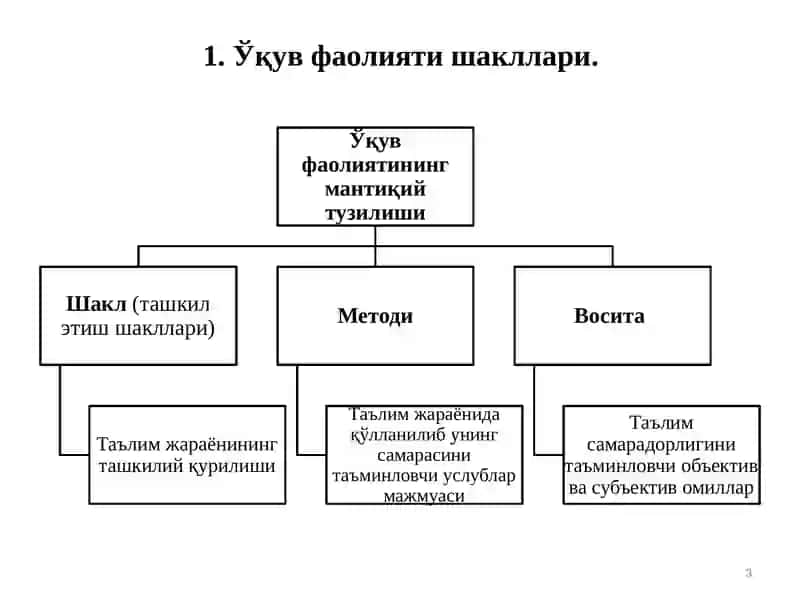 O’QUV FAOLIYATINING MANTIQIY TUZILISHI. O’QUV FAOLIYATI SHAKILLARI 3
