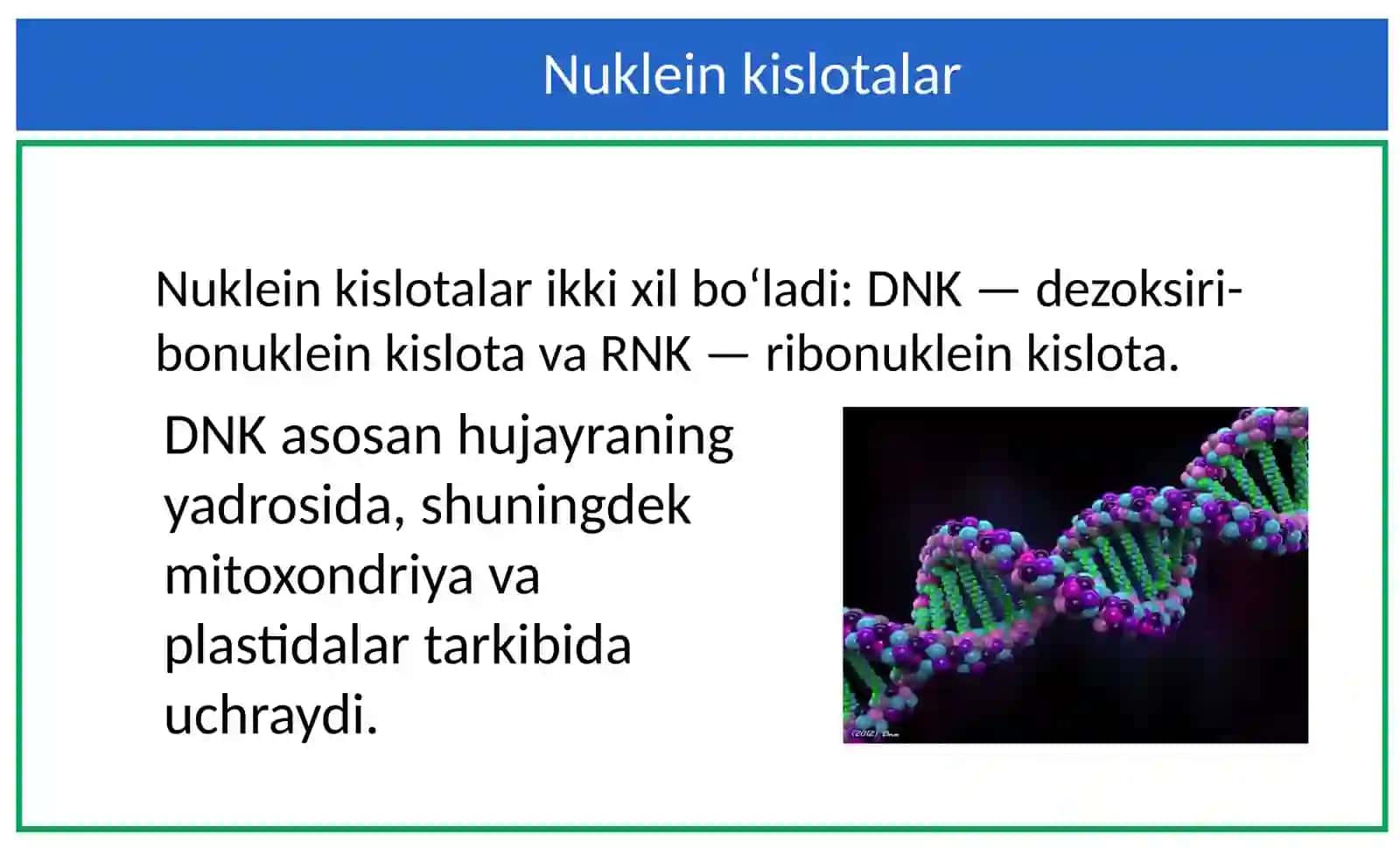 Nukleinkislotalar 3