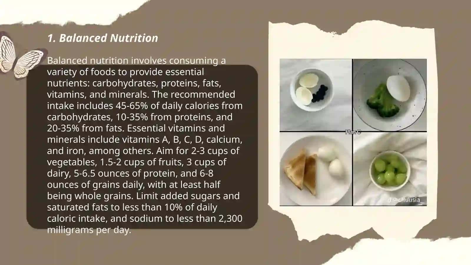 Balanced Nutrition 3