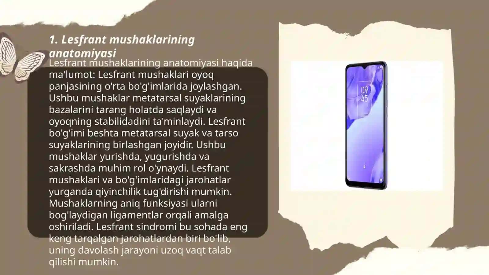Lesfrant mushaklarining anatomiyasi 3