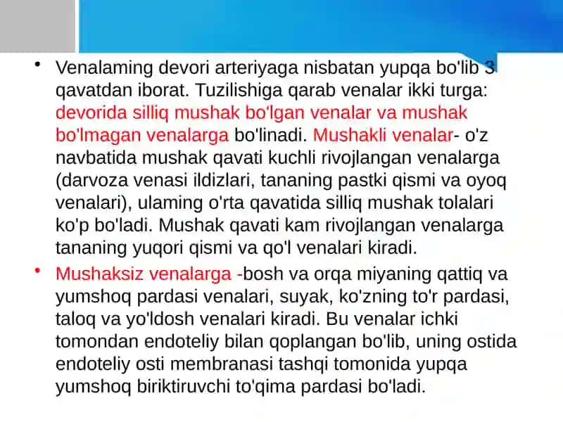 VENA QON AYLANISH TIZIMI 3