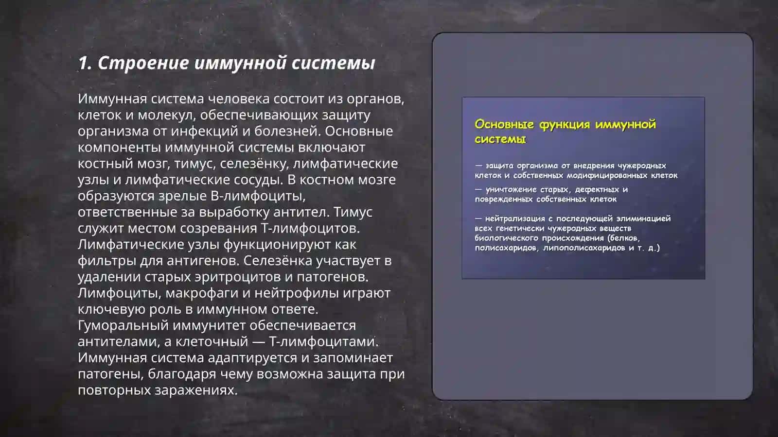 Иммунная система 3