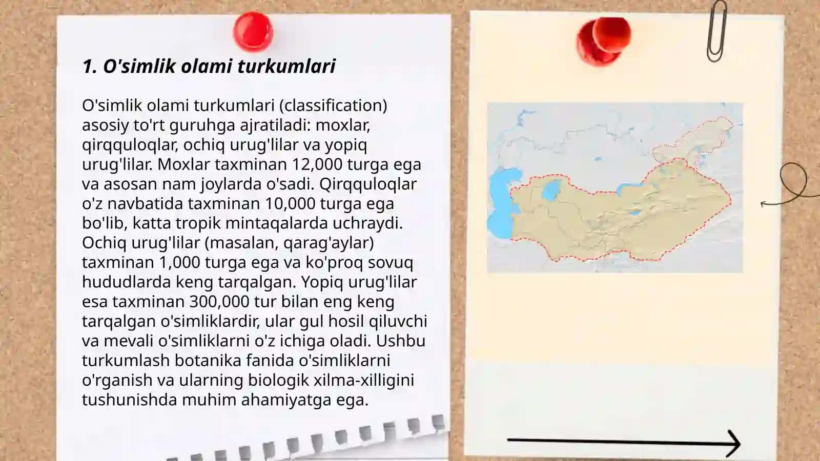 O'simlik olami turkumlari 3