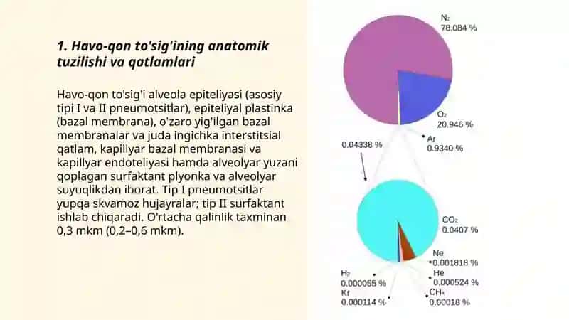 Havo-qon to'sig'ining tuzilishi, vazifalari va patologiyasi 3