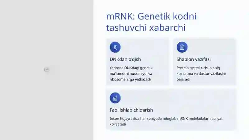 RNK Turlari va Ularning Funksiyalari 3