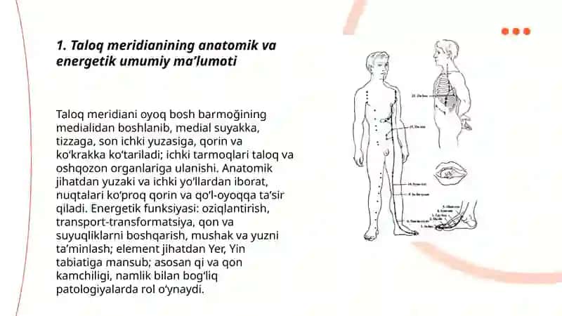Sharq tabobati (akupuntura asoslari) 3