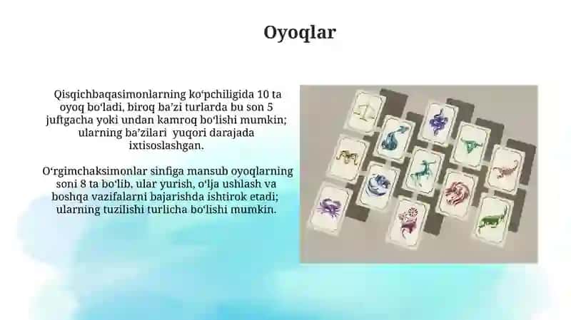 Bo'g'imoyoklilar klassifikasiyasi 3