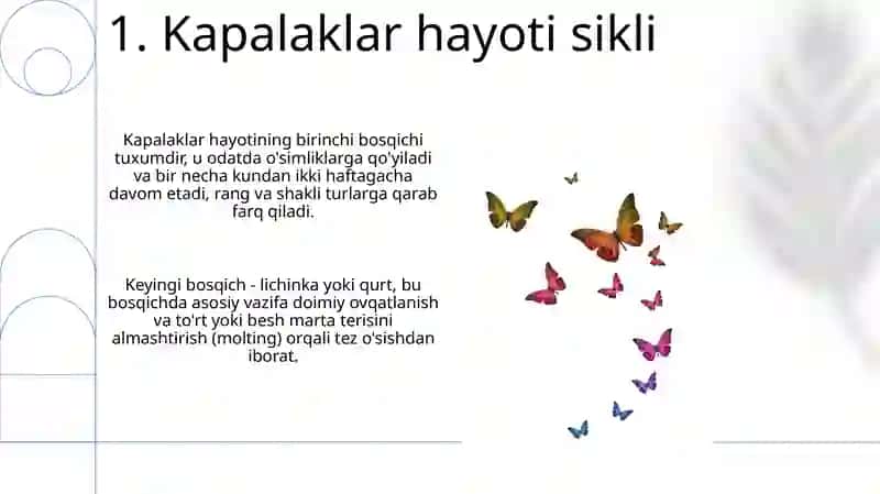Tangachaqanotlilar (Kapalaklar) 3