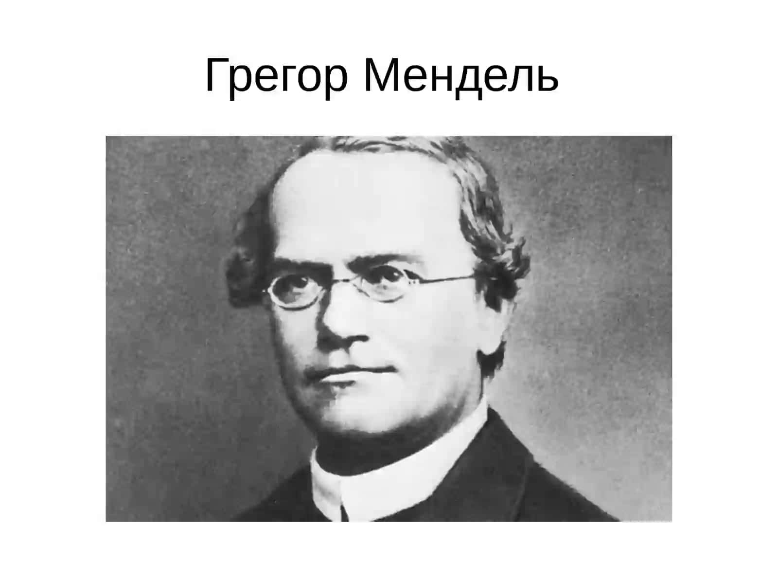 Дарвиновской концепции эволюции 3