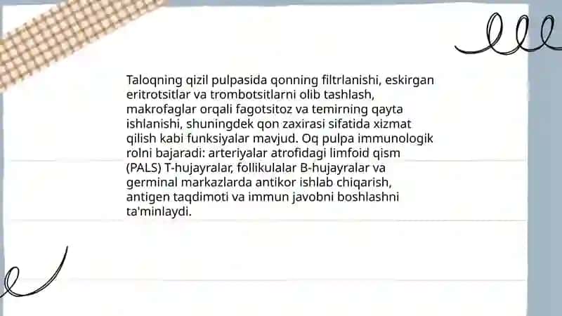 Taloq funksiyasi 3