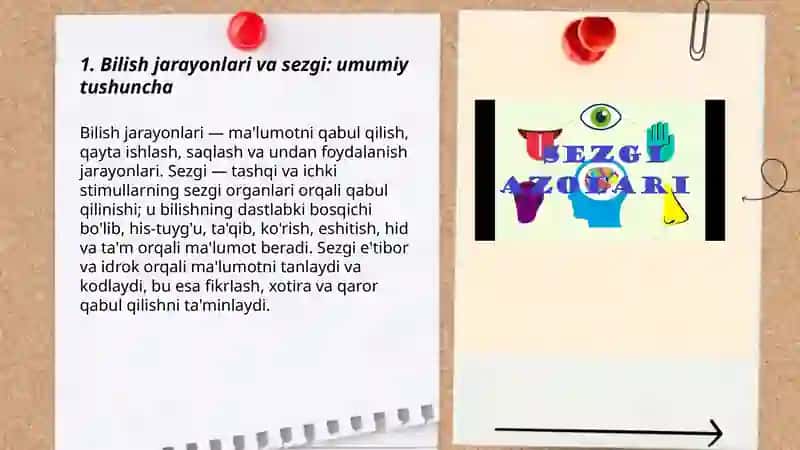 Bilish jarayonlari va sezgi 3