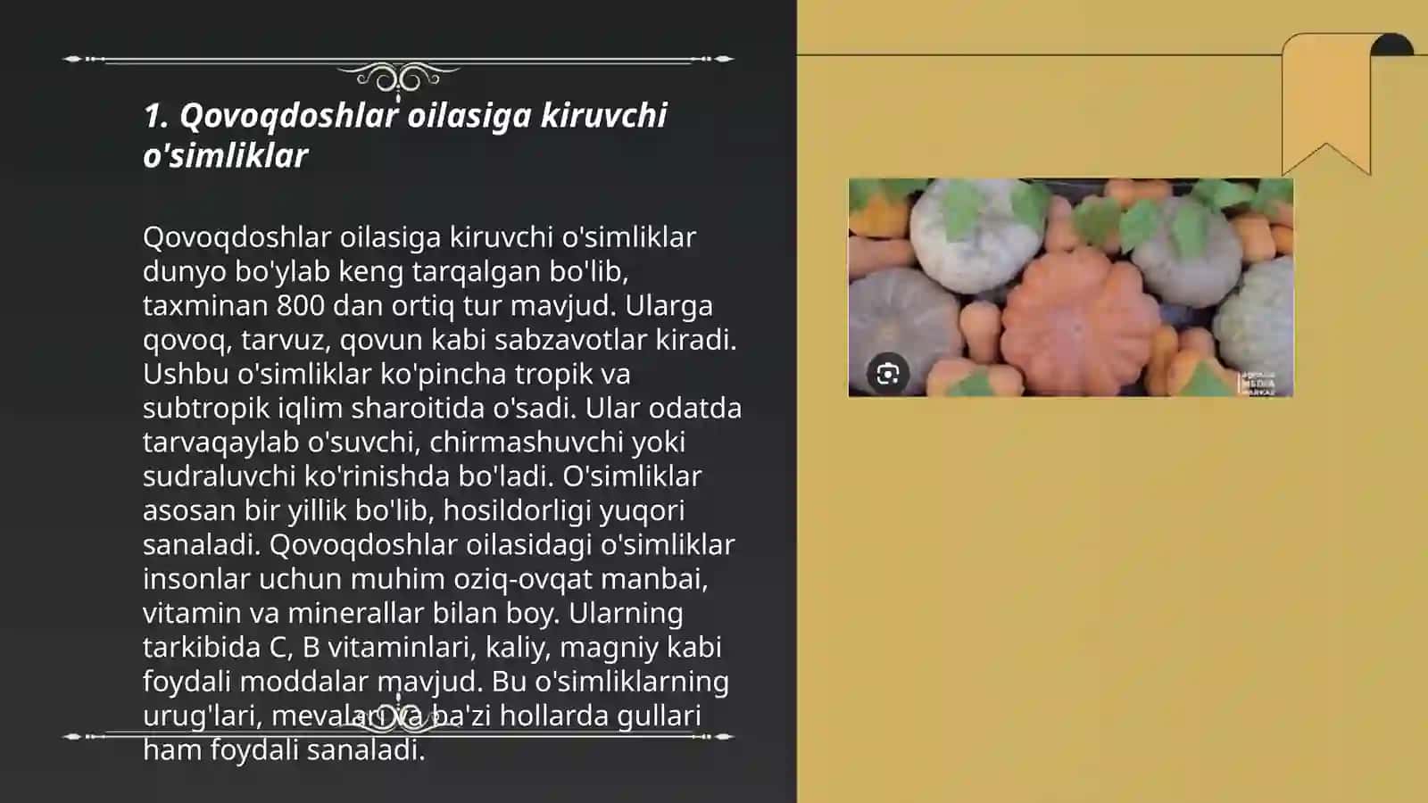 Kam tarqalgan qovoqdoshlar navlari 3