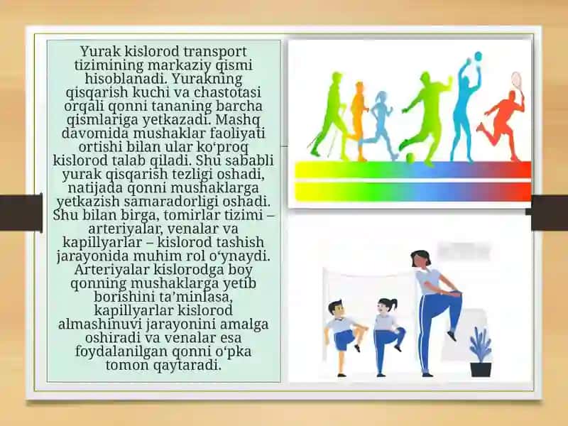 Kislorod transport tizimi va chidamlilik 3