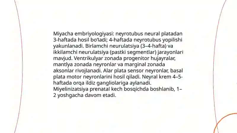 Miyacha rivojlanish anomaliyasi 3