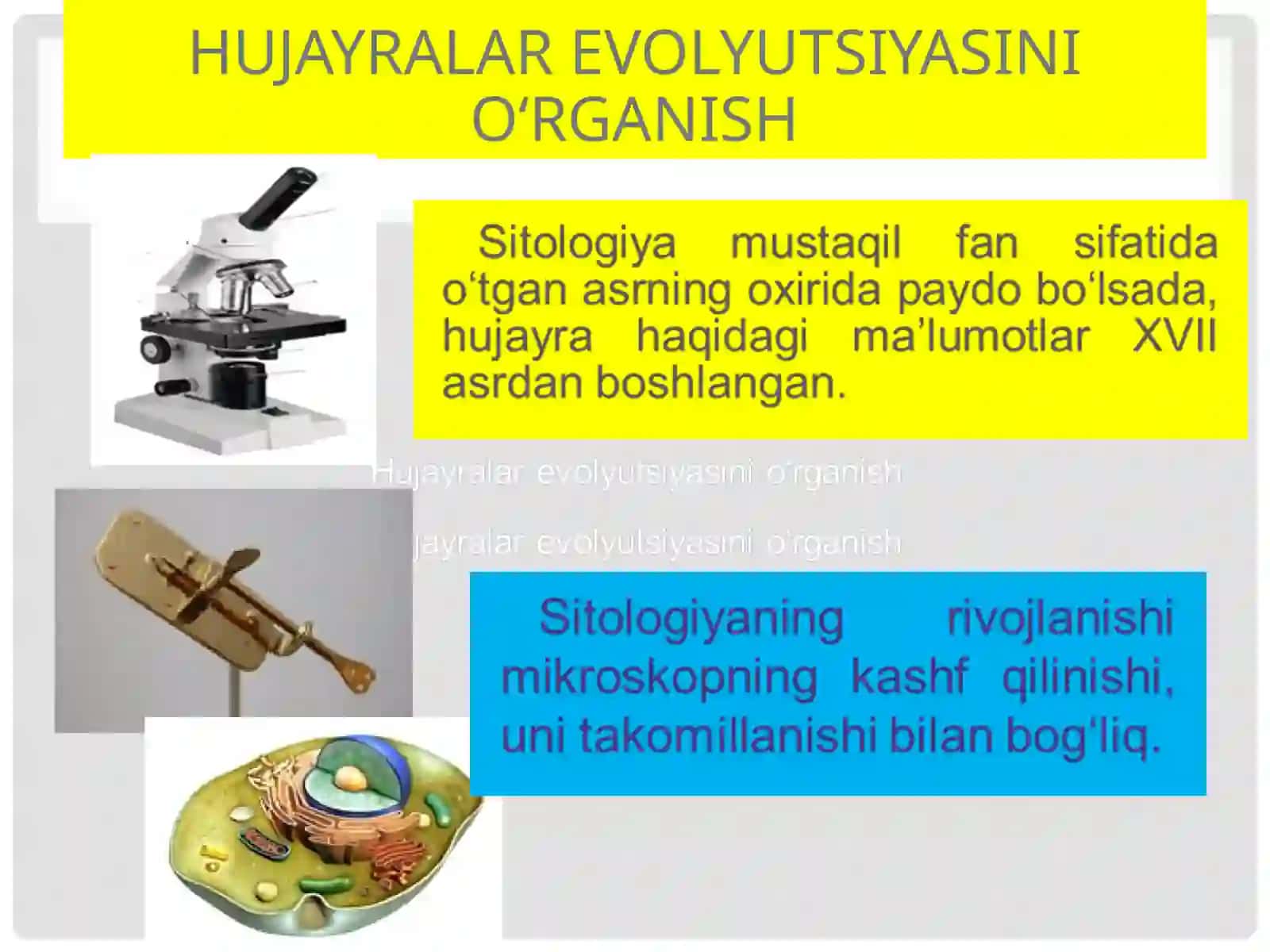 Hujayranio'rganish ta'limi 3