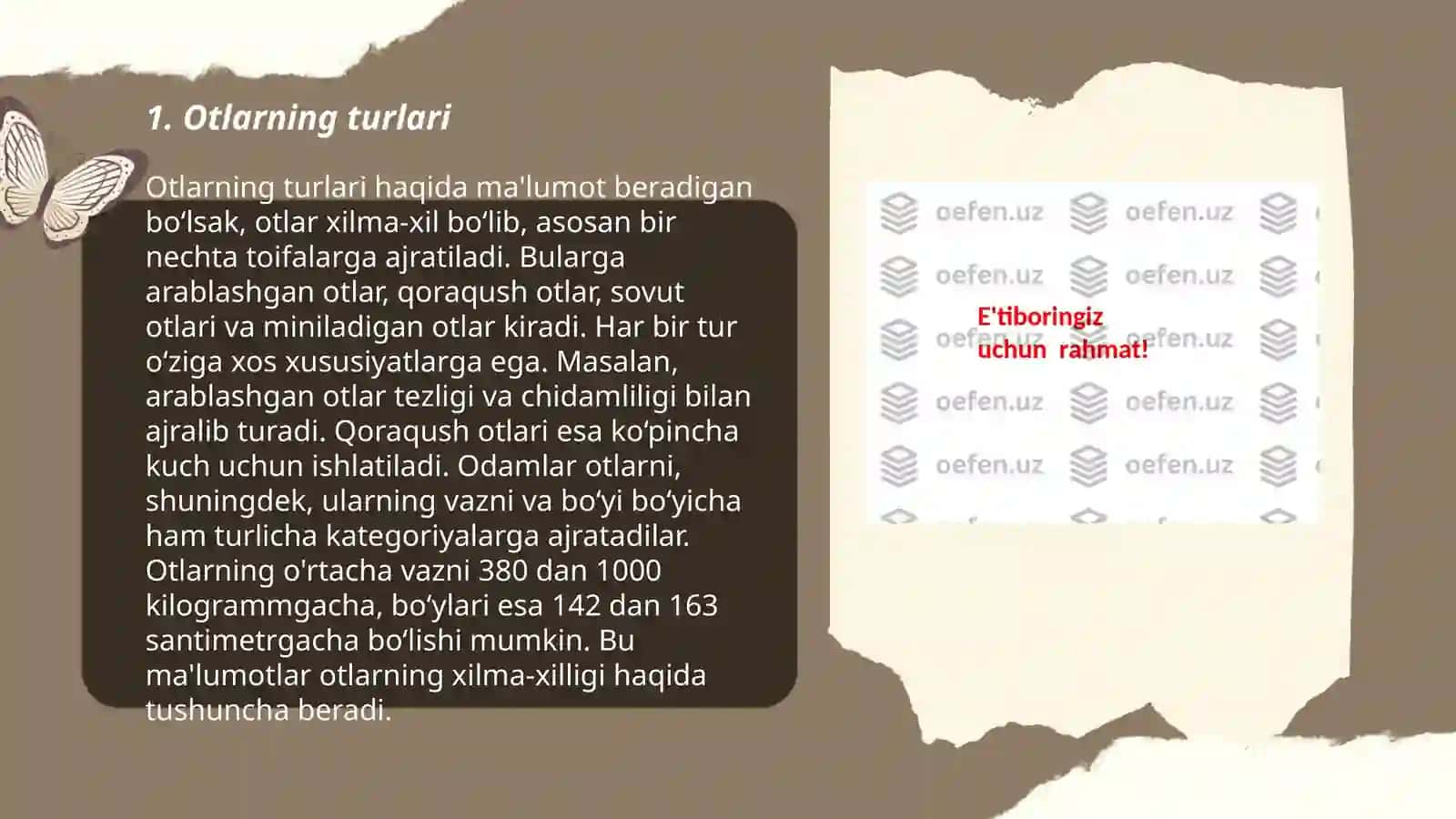 Ot so'z turkumi 3