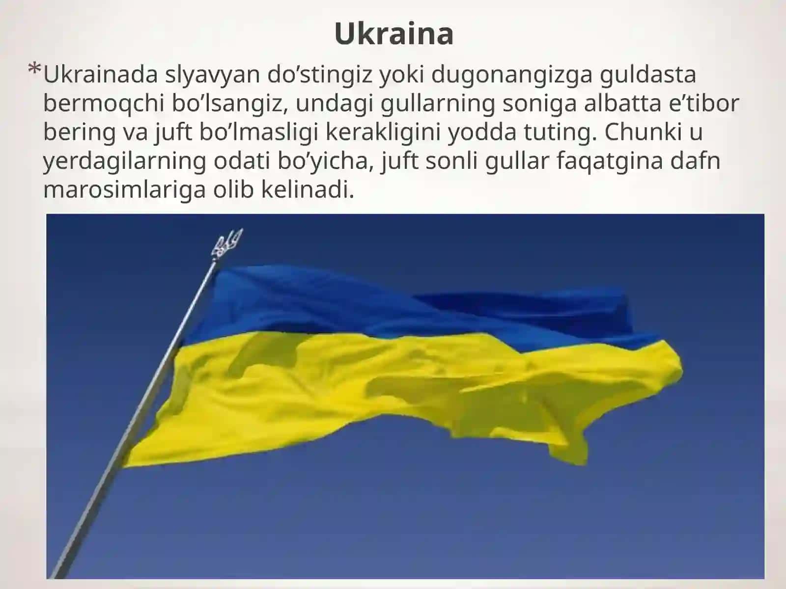Ba’zixorijiy mamlakatlarining odobdoirasidagi ta’qiqlari 3