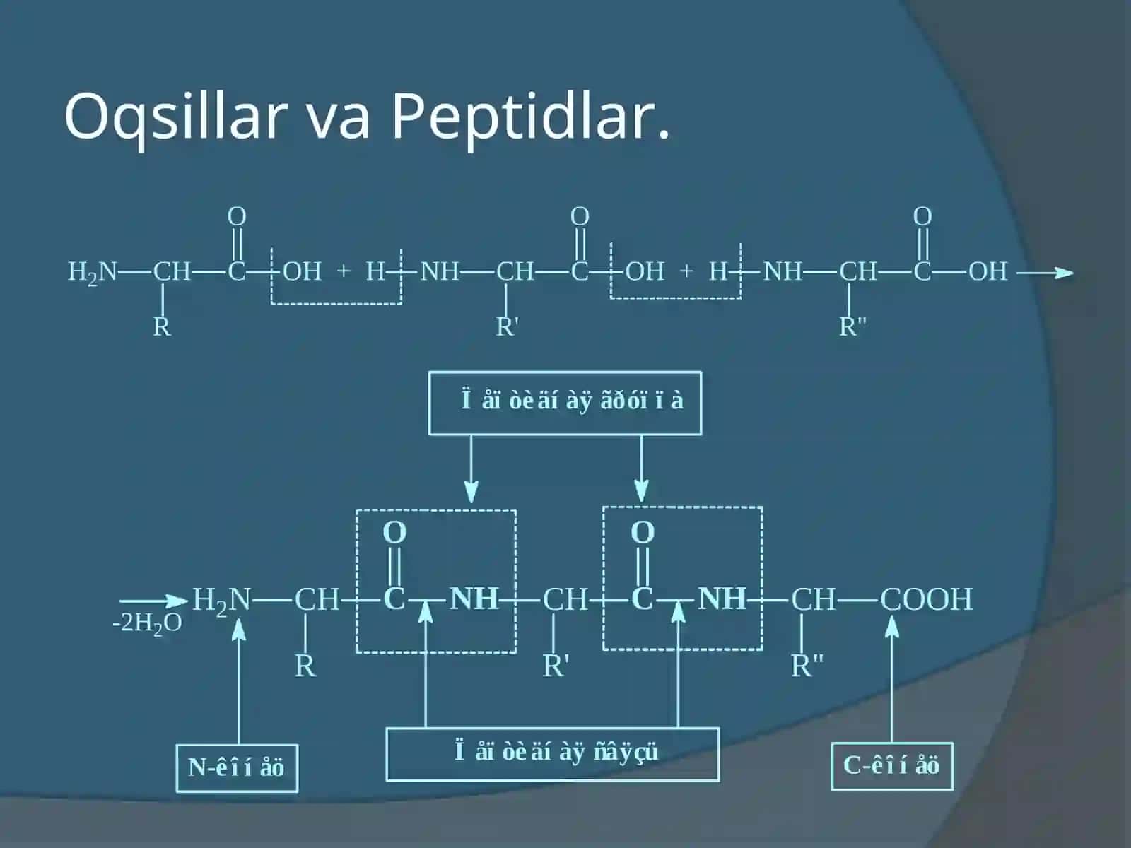 Tuzilishi va xossalari 3