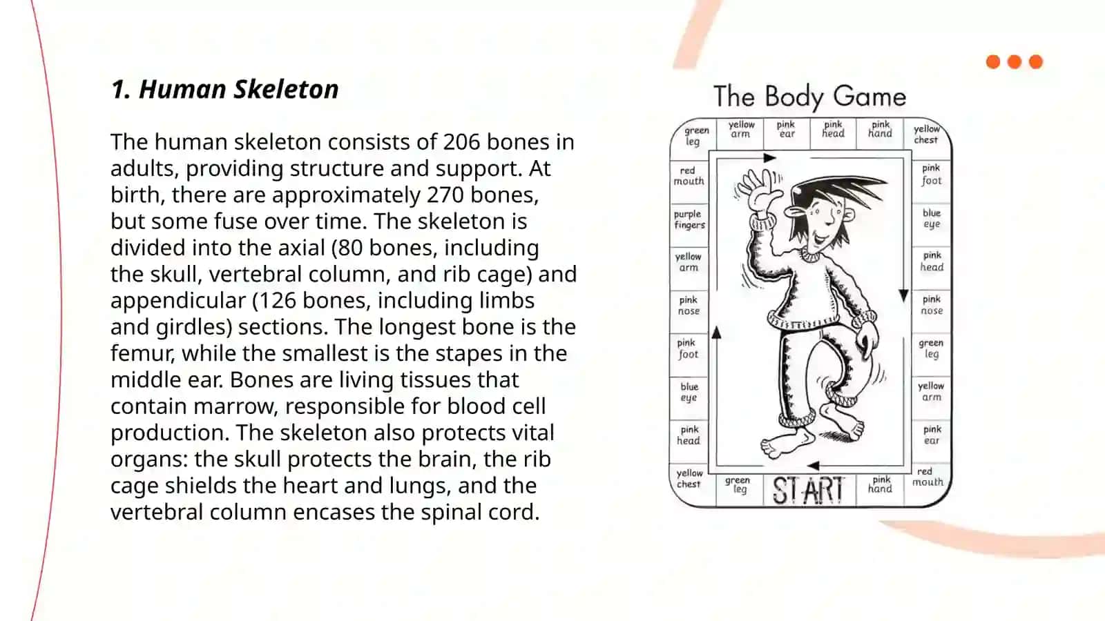 Body Parts 3
