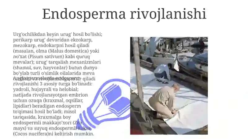 Urugʻ va mevalar.Urugʻning rivojlanishi 3