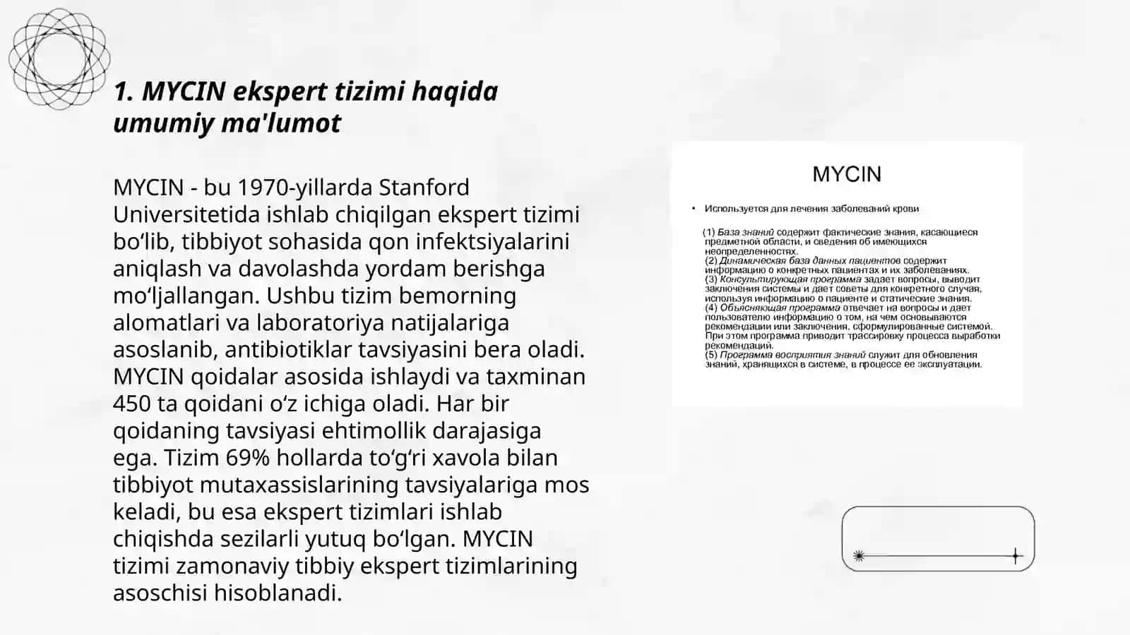 MYCIN-EMYKIN-TEIREIAK-RUFF-NERMYCIN ekspert tizimi 3