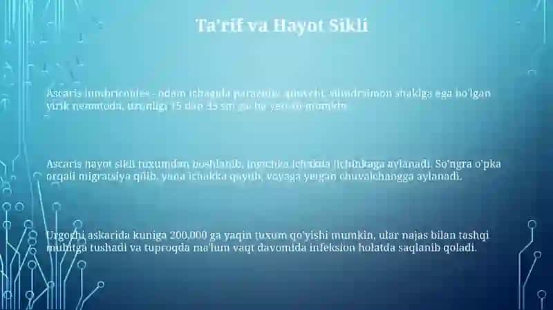 Yumaloq chuvalchanglar:odam askaridasi 3