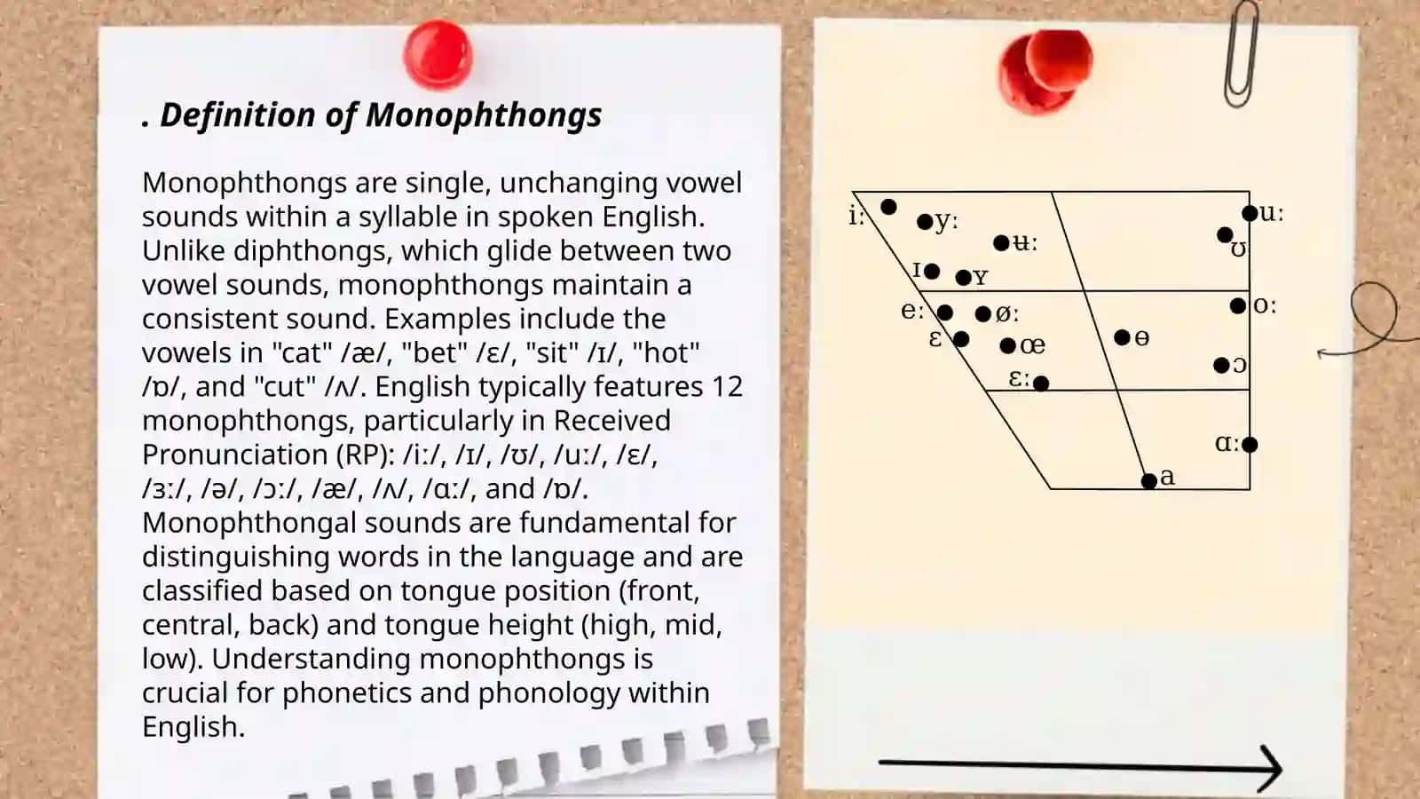 Monophthongs and their classification 3