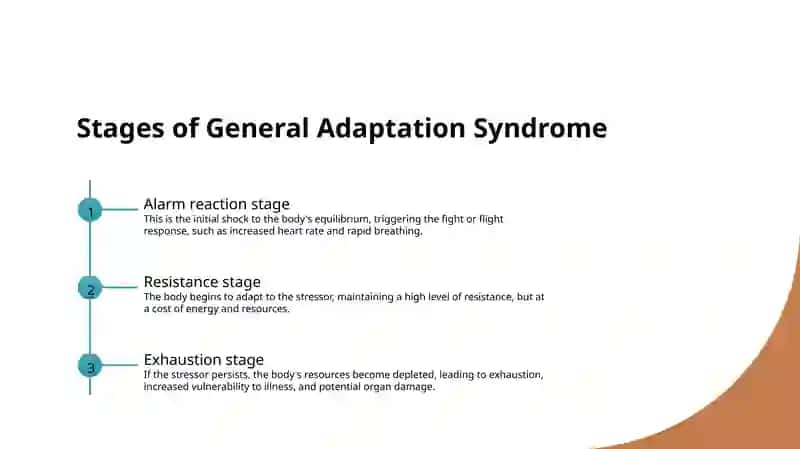 General Adaptation Syndrome 3