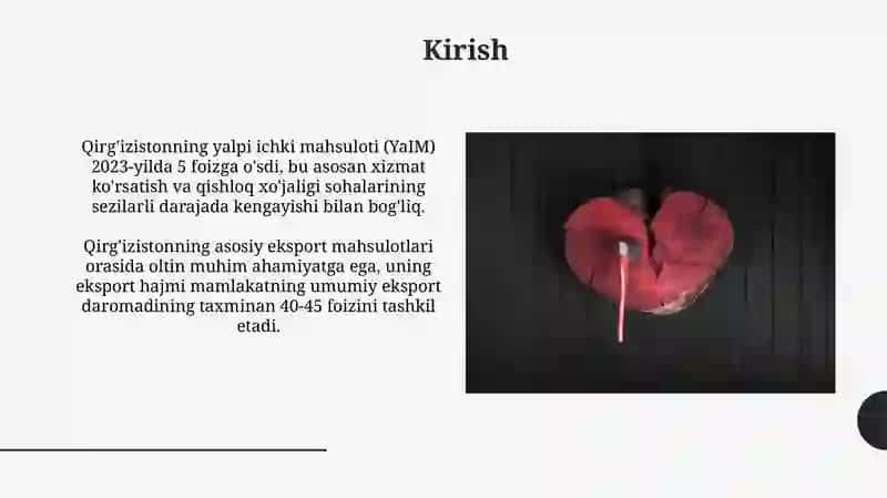 Buyrak amiloidozi 3