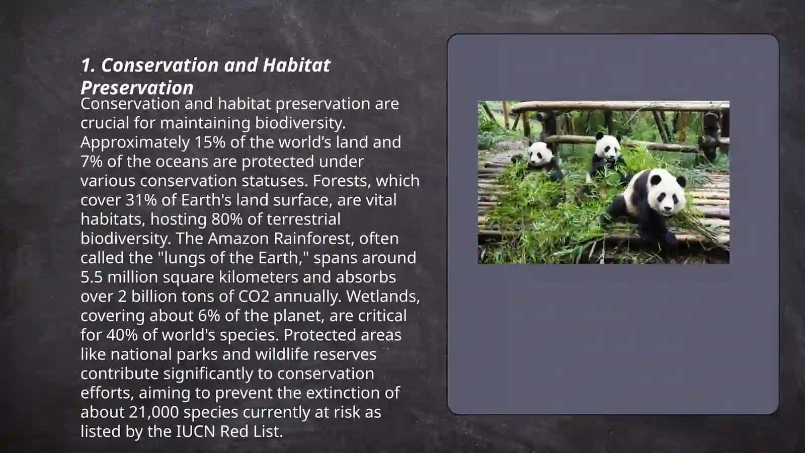 Protecting endangered species 3