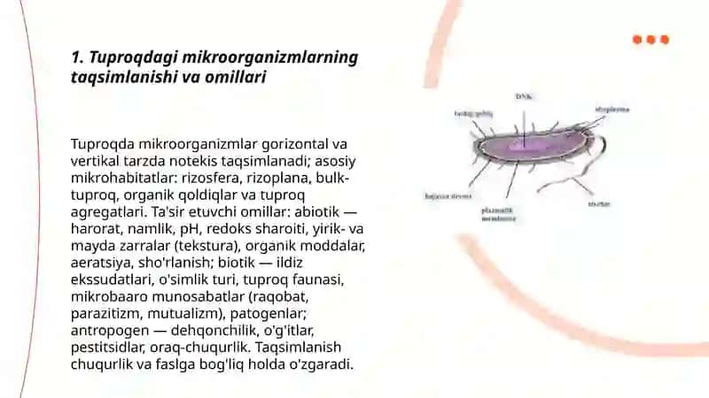 MIKROORGANIZMLARNING TABIATDA TARQALISHI 3
