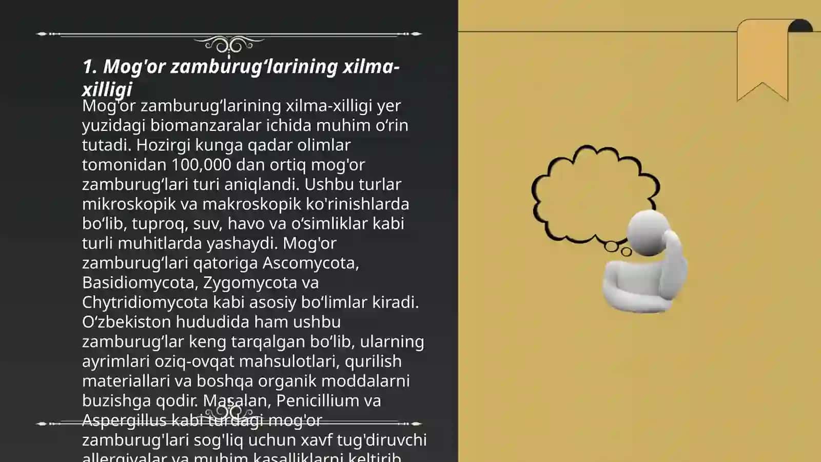 Mog'or zamburugʻlari va achitqilar 3