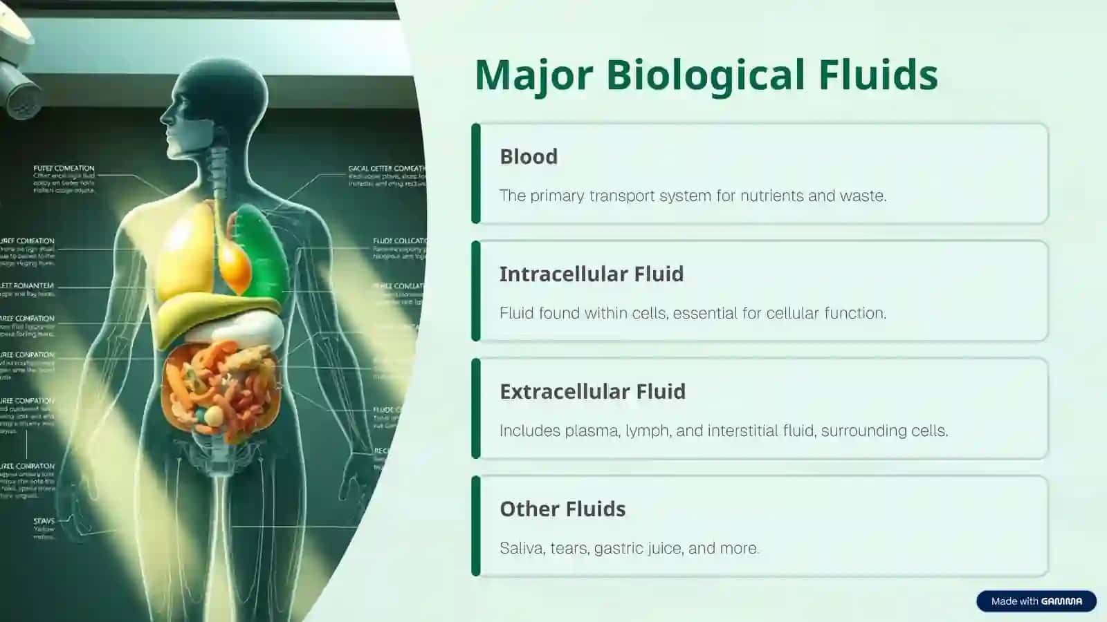 Biological Fluids: The Body's Electrolyte Solutions 3