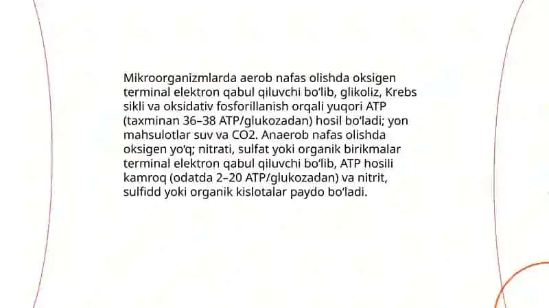 Mikroorganizmlar tomonidan energiya olish usullari 3