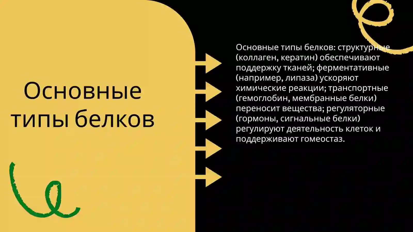 Классификация белков 3
