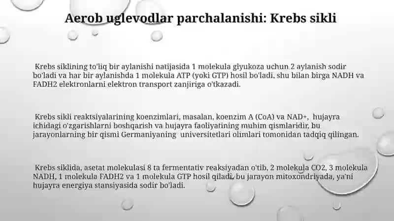 Uglevodlar almashinuvi 3