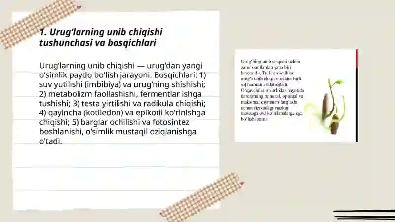 Urugʻlarni unib chiqishi 3
