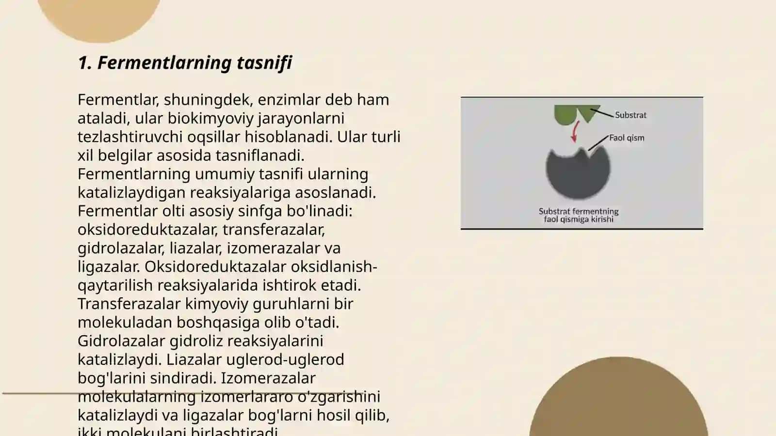 Fermentlar 3