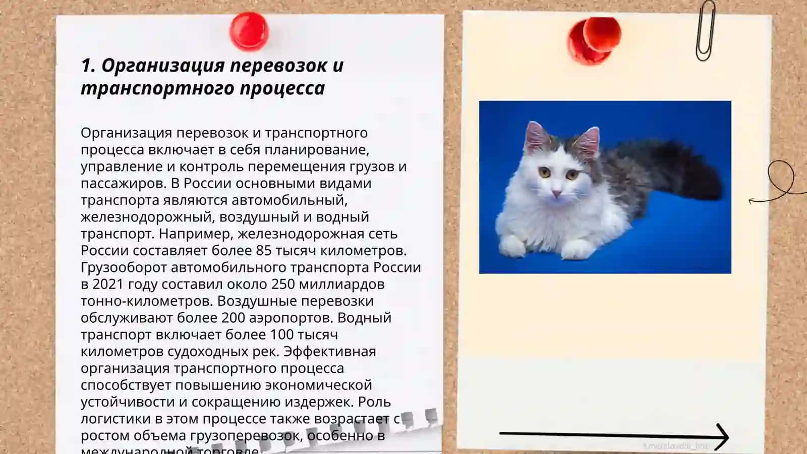 Транспорные логистика 3