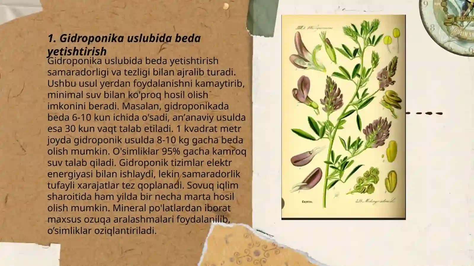 Beda biologiyasi va texnologiyasi 3