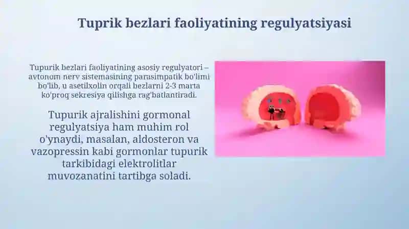 Tuprik bezlari faoliyatini boshqarish 3