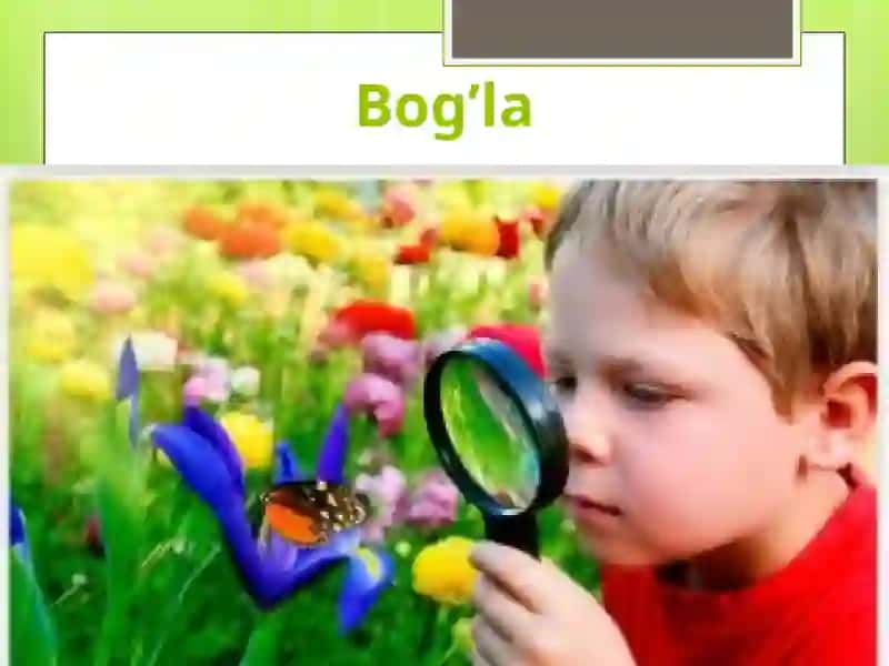 Oiladagi va jamoada gʻojam konfliktlar va ularning yechimlari 3