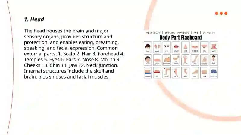 Parts of the body 3